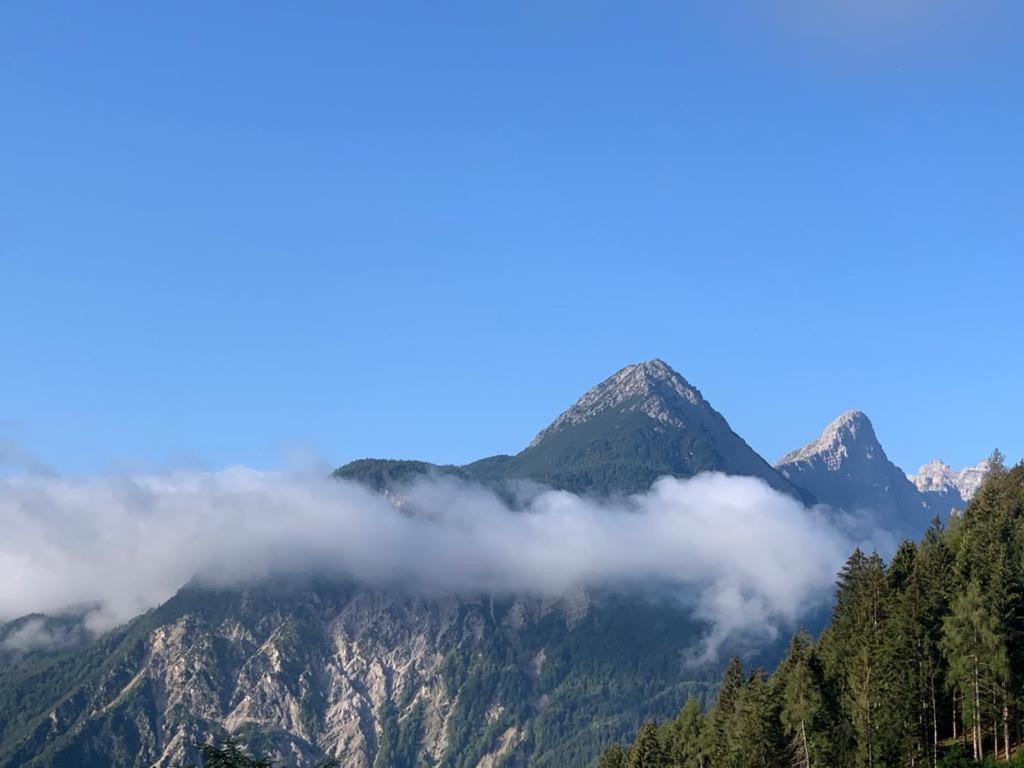 L' Antica Casa Di Maria Lilia Leilighet Pieve di Cadore Eksteriør bilde